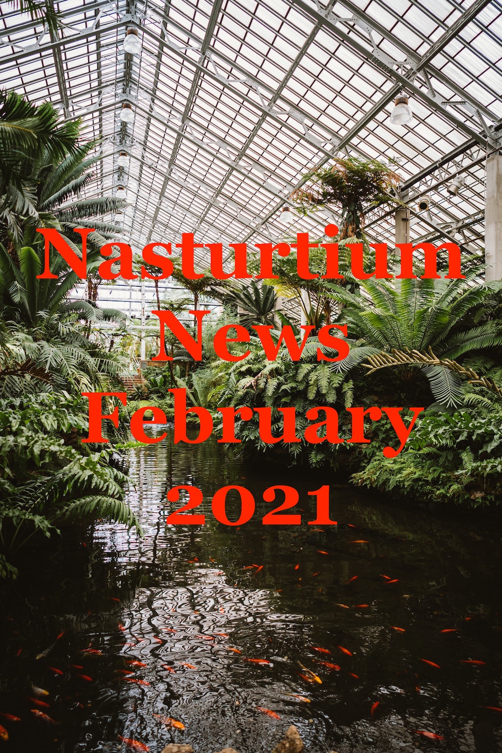 Nasturtium News February 2021
