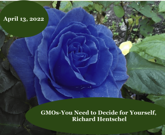 April 13, 2022       GMO’s-You Need to Decide for Yourself, Richard Hentschel
